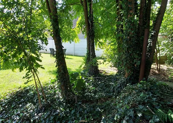 Apartament Akacfa Vendeghaz Makó